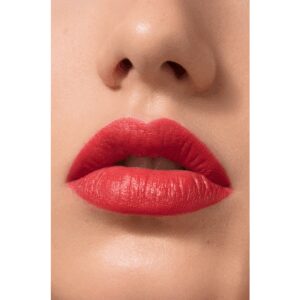 La Base Lèvres Universelle