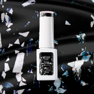 Le Top Coat - Large Silver Glitter