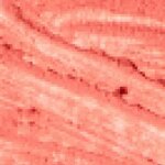 Couleur Lèvres et Joues Lydia